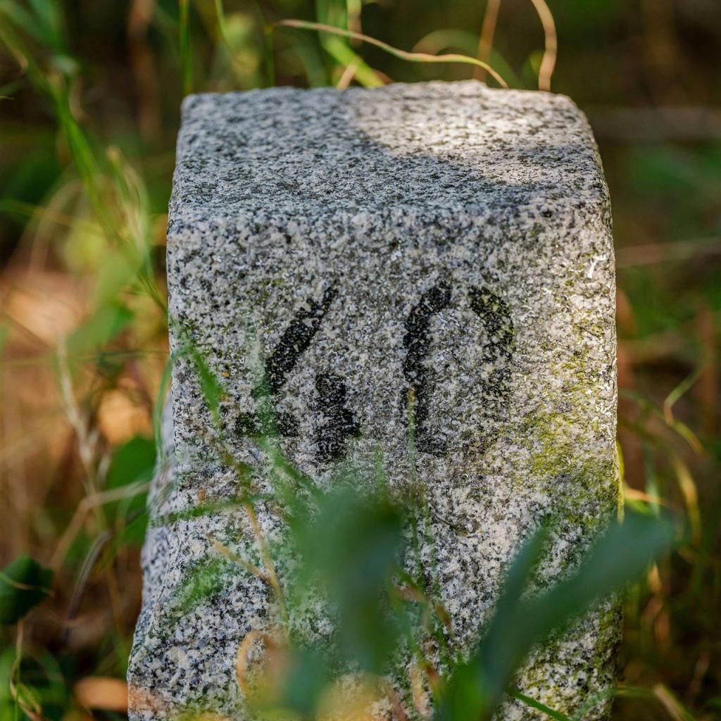 Historischer Grenzstein Mit Der Nummer 40