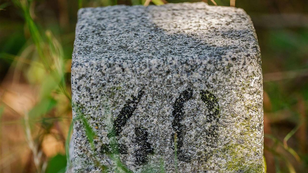 Historischer Grenzstein Mit Der Nummer 40