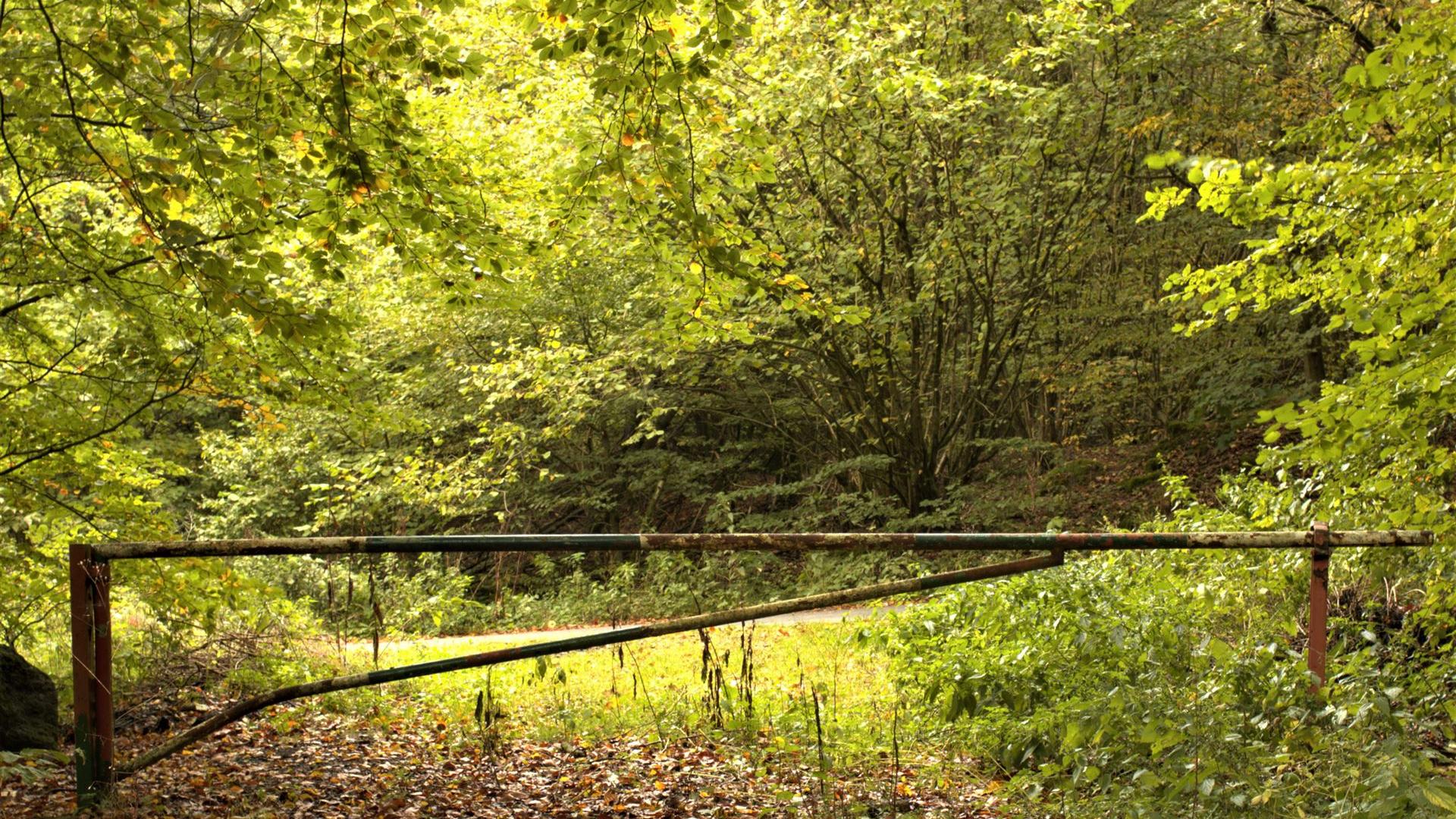 schranke, geschlossen, zu, natur, rost, verschlossen, weg, herbstlich, waldweg, grün, blätter, leuchtend, bäume
