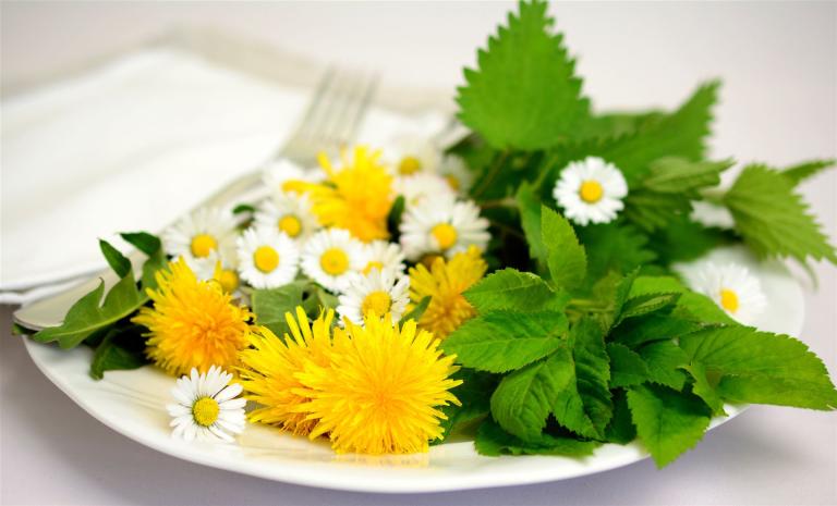 kräuter, essbare kräuter, naturmedizin, heilen, natur, gesundheit, garten, gartenkräuter, löwenzahn, gänseblümchen, essbar, heilkräuter, ernährung, essen, gesund, vegan, pflanzen, pflanzenheilkunde, salat