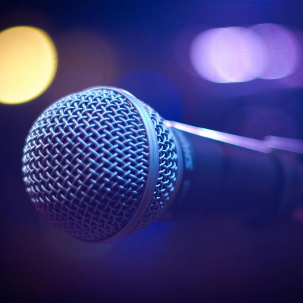 Tilt Shift Foto Von Grauem Und Schwarzem Mikrofon